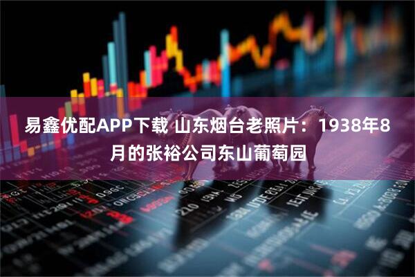 易鑫优配APP下载 山东烟台老照片：1938年8月的张裕公司东山葡萄园